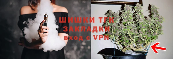 молекула духа Медногорск