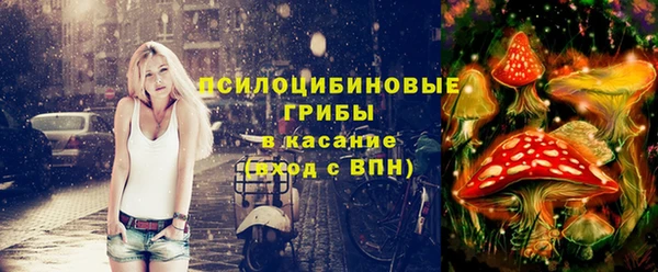 мяу мяу мука Медвежьегорск