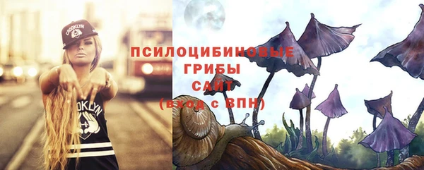 мяу мяу мука Медвежьегорск