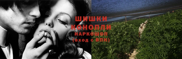 молекула духа Медногорск
