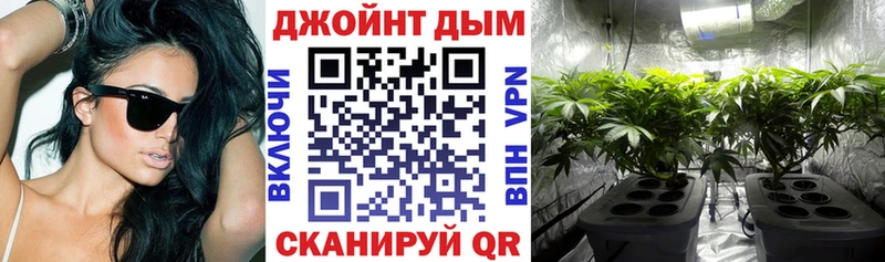 купить  сайты  Трубчевск  omg как войти  Канабис White Widow 